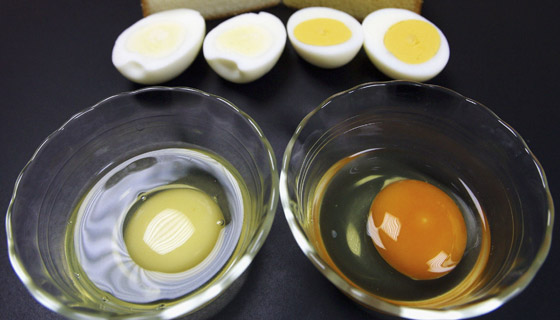 الفرق الصحي بين صفار البيض وبياضه وفوائدهما.. متى يستخدمان بالطهي؟ صورة رقم 8