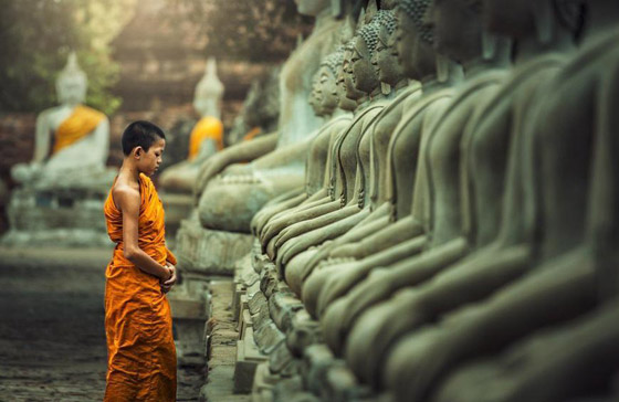 كاد بوذا يفقد حياته بسببه فأوصى بتعديله! تعرفوا على تعاليم صيام البوذيين صورة رقم 8
