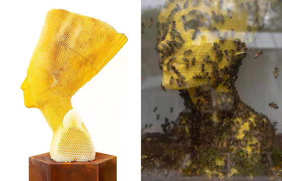 فنان يستخدم 60 ألف نحلة لصنع منحوتة ساحرة للملكة المصرية نفرتيتي صورة رقم 1