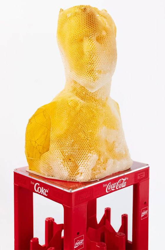 فنان يستخدم 60 ألف نحلة لصنع منحوتة ساحرة للملكة المصرية نفرتيتي صورة رقم 11