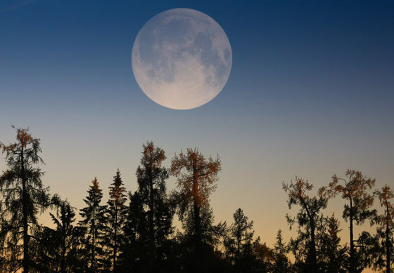ما تفسير ظاهرة القمر الوهمي العملاق الذي رآه البشر ولم ترصده الكاميرات؟ صورة رقم 10