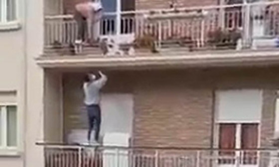 فيديو مثير: شاب ينقذ عجوز ثواني قبل سقوطها من شرفة منزلها.. على طريقة سبايدرمان صورة رقم 1