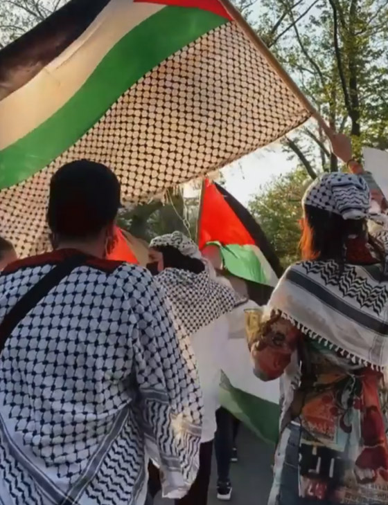 فيديو وصور: بيلا حديد بالكوفية في مظاهرة دعما لفلسطين صورة رقم 10