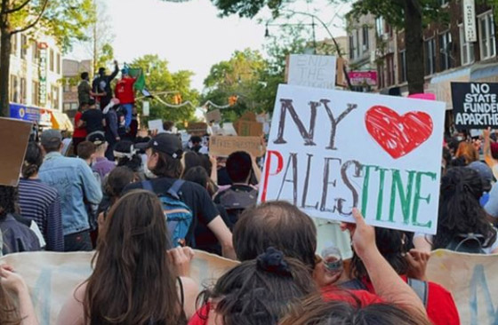 فيديو وصور: بيلا حديد بالكوفية في مظاهرة دعما لفلسطين صورة رقم 17