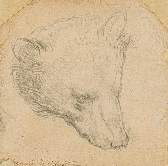 عرض رسمة نادرة (رأس الدب) للرسام دافنشي بمزاد بـ17 مليون دولار صورة رقم 1