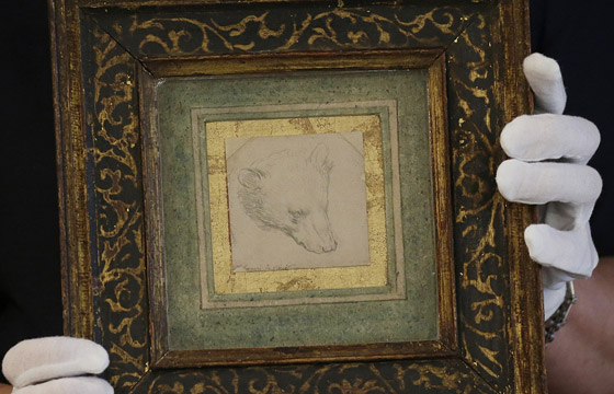 عرض رسمة نادرة (رأس الدب) للرسام دافنشي بمزاد بـ17 مليون دولار صورة رقم 3