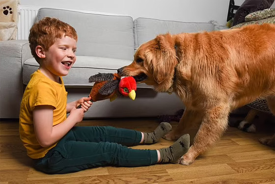 صداقة رائعة مؤثرة بين طفل كفيف وكلب مخلص يعوض الطفل عن فقدان حاسة البصر صورة رقم 3