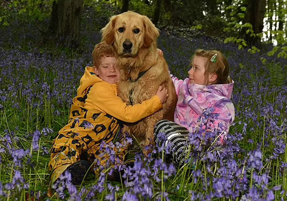 صداقة رائعة مؤثرة بين طفل كفيف وكلب مخلص يعوض الطفل عن فقدان حاسة البصر صورة رقم 4