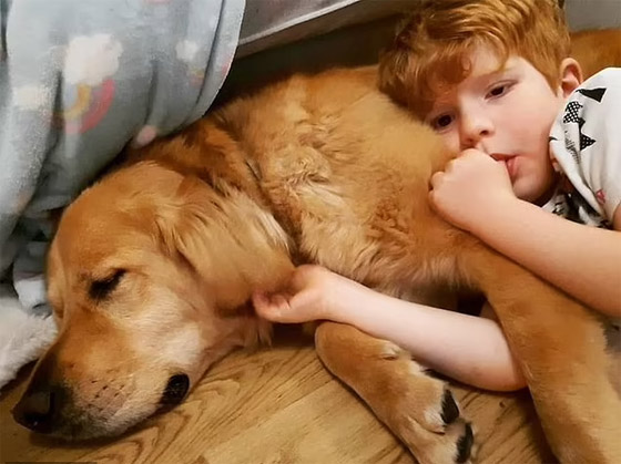 صداقة رائعة مؤثرة بين طفل كفيف وكلب مخلص يعوض الطفل عن فقدان حاسة البصر صورة رقم 6