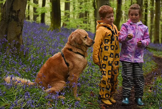 صداقة رائعة مؤثرة بين طفل كفيف وكلب مخلص يعوض الطفل عن فقدان حاسة البصر صورة رقم 15