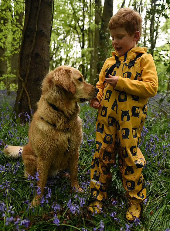 صداقة رائعة مؤثرة بين طفل كفيف وكلب مخلص يعوض الطفل عن فقدان حاسة البصر صورة رقم 17
