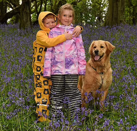 صداقة رائعة مؤثرة بين طفل كفيف وكلب مخلص يعوض الطفل عن فقدان حاسة البصر صورة رقم 18