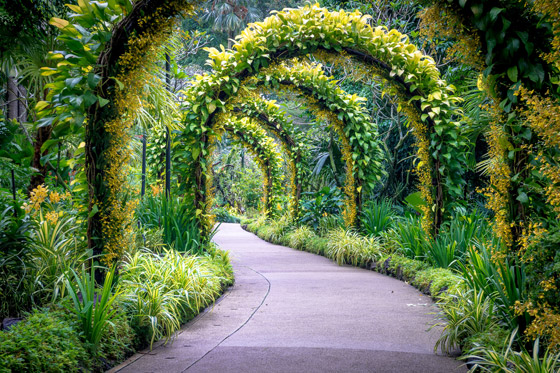 بالصور: تعرفوا إلى أفضل 10 حدائق رائعة حول العالم صورة رقم 2