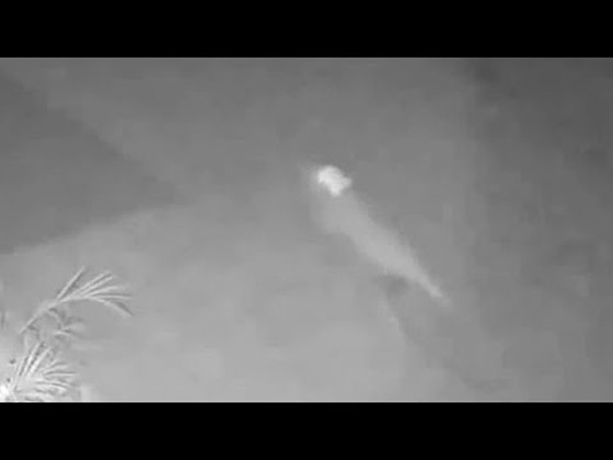 فيديو غريب: كاميرا المراقبة تصور كائن غامض يشبه الديناصور يركض ليلا خلف منزل بفلوريدا صورة رقم 2