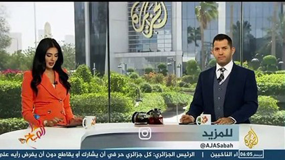 فيديو وصور: لينا الفيشاوي خطيبة محمد عساف السابقة هل هي حامل؟ ولماذا أغمى عليها على الهواء؟ صورة رقم 1