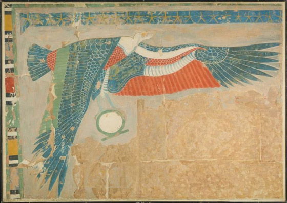 النسر المصري: ما قصة الطائر النادر الذي ظهر في بريطانيا بعد 150 عاماً؟ صورة رقم 10