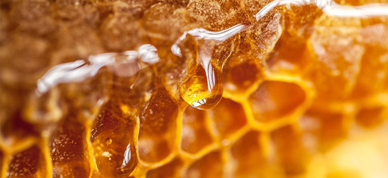 كيف تفرق بين العسل الأصلي والمغشوش؟ صورة رقم 8