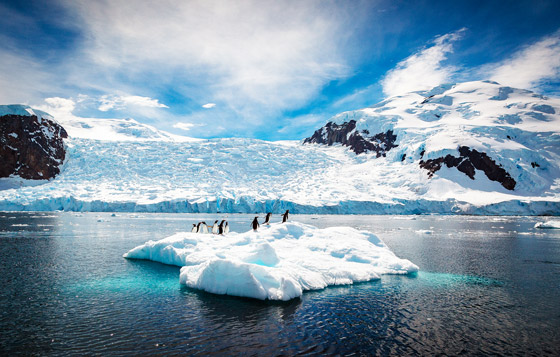 أنتاركتيكا.. ما هو مستقبل القارة القطبية الأكثر غموضا في العالم؟ صورة رقم 6