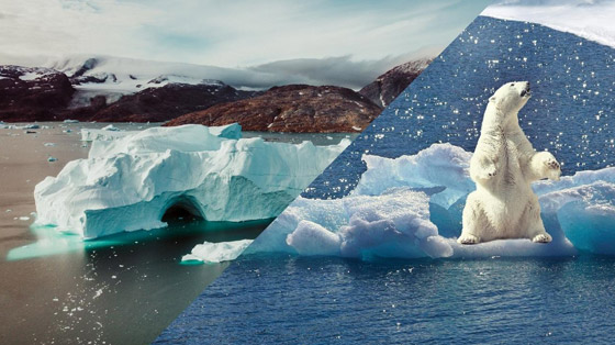 أنتاركتيكا.. ما هو مستقبل القارة القطبية الأكثر غموضا في العالم؟ صورة رقم 12