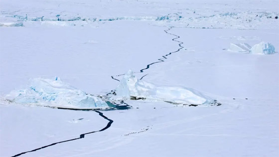 أنتاركتيكا.. ما هو مستقبل القارة القطبية الأكثر غموضا في العالم؟ صورة رقم 1