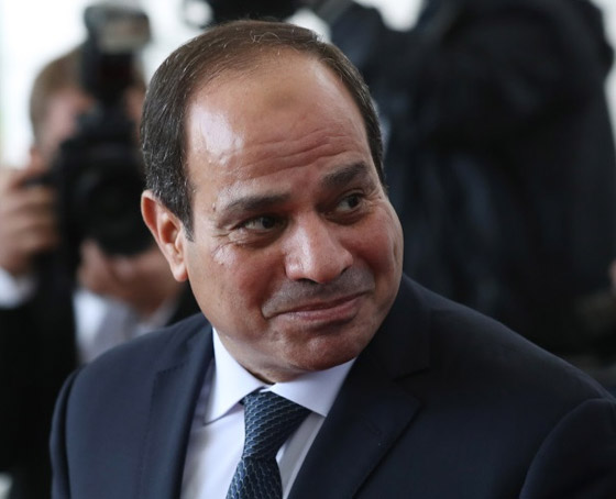 دعوى قضائية ضد السيسي لإقالة مدرب منتخب مصر صورة رقم 8