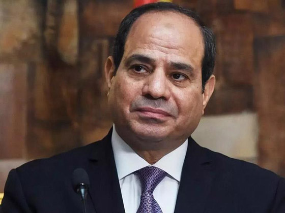 دعوى قضائية ضد السيسي لإقالة مدرب منتخب مصر صورة رقم 9