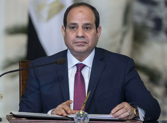 دعوى قضائية ضد السيسي لإقالة مدرب منتخب مصر صورة رقم 1