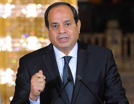 دعوى قضائية ضد السيسي لإقالة مدرب منتخب مصر صورة رقم 11