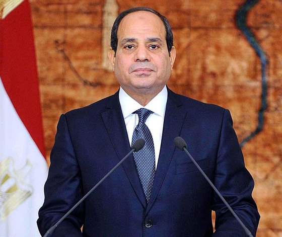 دعوى قضائية ضد السيسي لإقالة مدرب منتخب مصر صورة رقم 12