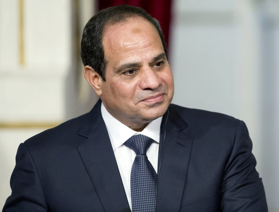 دعوى قضائية ضد السيسي لإقالة مدرب منتخب مصر صورة رقم 13