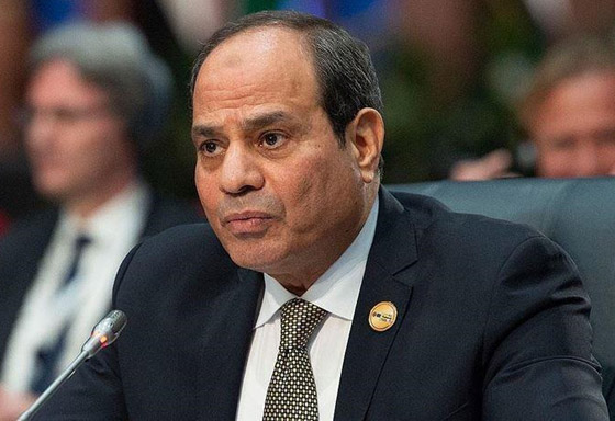 دعوى قضائية ضد السيسي لإقالة مدرب منتخب مصر صورة رقم 14