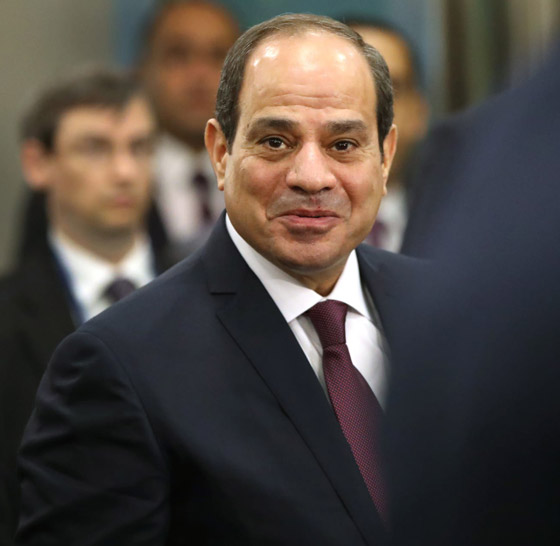 دعوى قضائية ضد السيسي لإقالة مدرب منتخب مصر صورة رقم 15