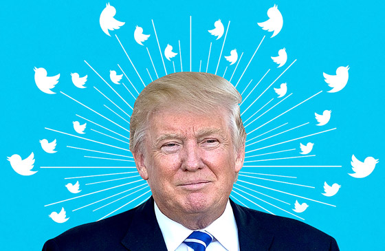 الرئيس السابق ترامب يلجأ للقضاء لإجبار تويتر على إعادة حسابه صورة رقم 7