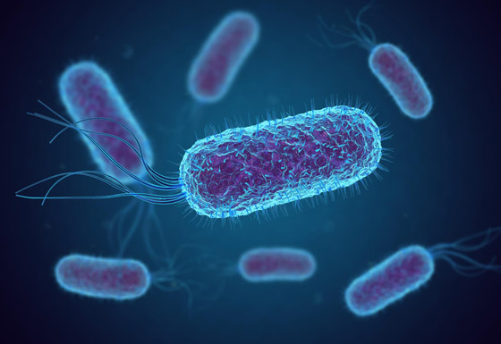 قادرة على الحديث.. إليكم معلومات مذهلة عن البكتيريا لم تسمعوا بها من قبل صورة رقم 5