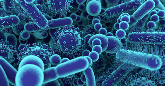 قادرة على الحديث.. إليكم معلومات مذهلة عن البكتيريا لم تسمعوا بها من قبل صورة رقم 10