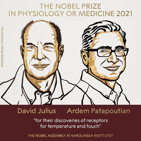 فوز عالمين أحدهما من أصل لبناني بجائزة نوبل للطب.. عن أي اكتشاف؟ صورة رقم 1