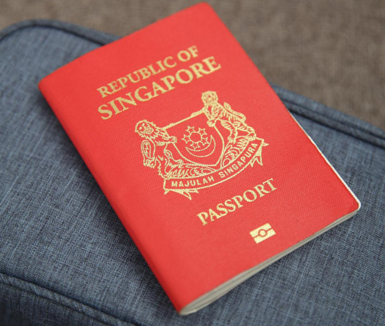تعرفوا إلى أفضل وأقوى جوازات السفر عالميا لعام 2021 صورة رقم 2