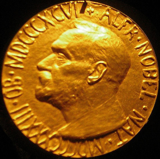 جائزة نوبل للسلام تمنح لأول مرة في تاريخها لصحفيين لشجاعتهما.. صور صورة رقم 5