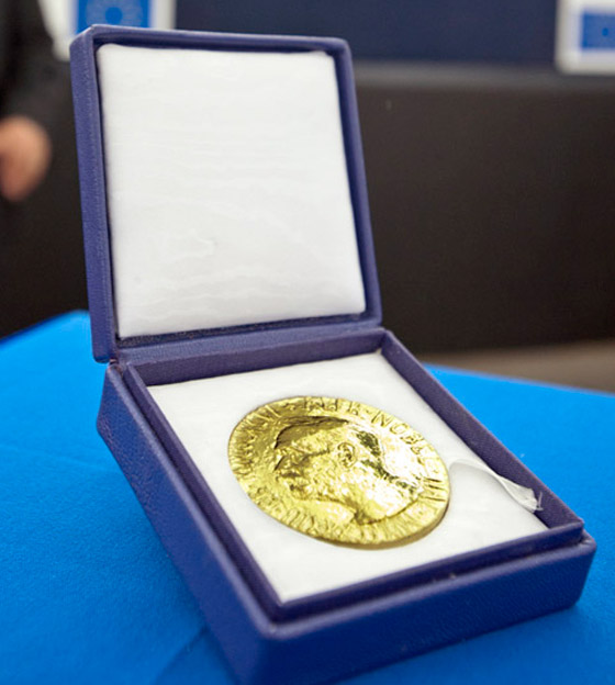 جائزة نوبل للسلام تمنح لأول مرة في تاريخها لصحفيين لشجاعتهما.. صور صورة رقم 6