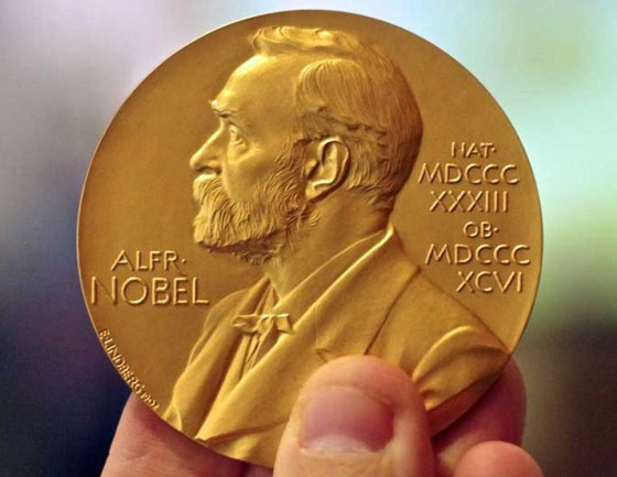 جائزة نوبل للسلام تمنح لأول مرة في تاريخها لصحفيين لشجاعتهما.. صور صورة رقم 8