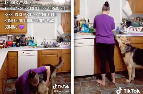 بالفيديو: كلب يتنبأ بتعرض سيدة لنوبة صرع ويحاول تحذيرها ويساعدها! صورة رقم 4