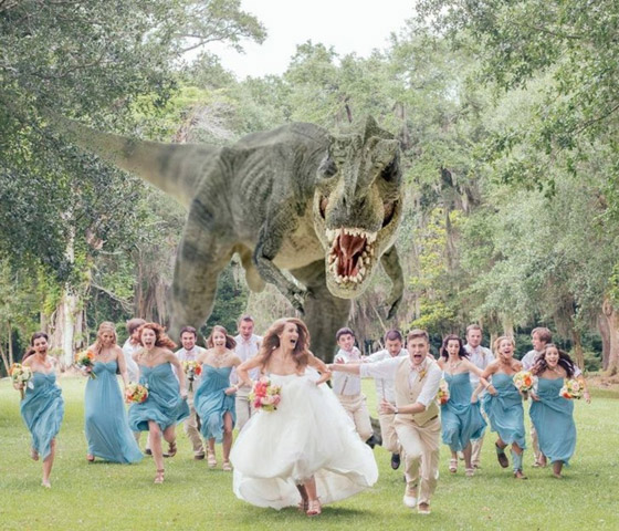 هؤلاء الأشخاص قرروا الخروج عن المألوف في حفل زفافهم: لقطات مبهجة صورة رقم 1