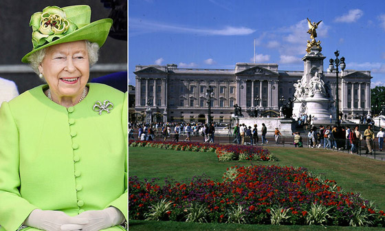 فرصة ذهبية للعمل بقصر باكنغهام.. الملكة تبحث عن عامل براتب خيالي صورة رقم 8