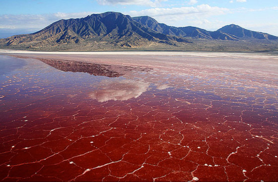 نهر يغلي وشلالات دماء.. إليكم تفسير الظواهر المخيفة في بحيرات العالم صورة رقم 1