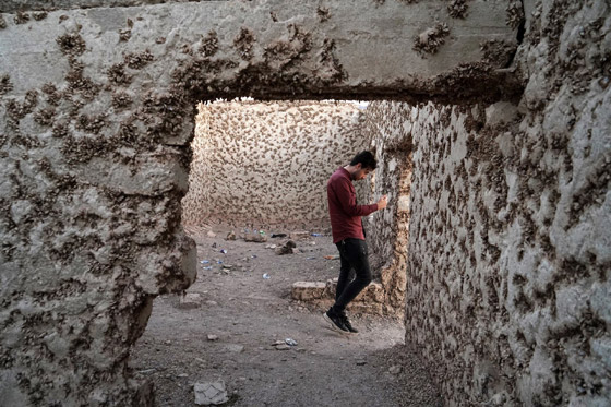 فيديو وصور: قرية غارقة في العراق تطفو بعد 36 عاما من اختفائها صورة رقم 15