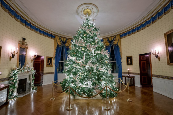 السيدة الأمريكية الأولى جيل بايدن تنشر صور زينة الميلاد في البيت الأبيض صورة رقم 1