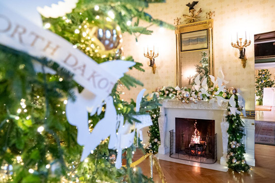السيدة الأمريكية الأولى جيل بايدن تنشر صور زينة الميلاد في البيت الأبيض صورة رقم 25