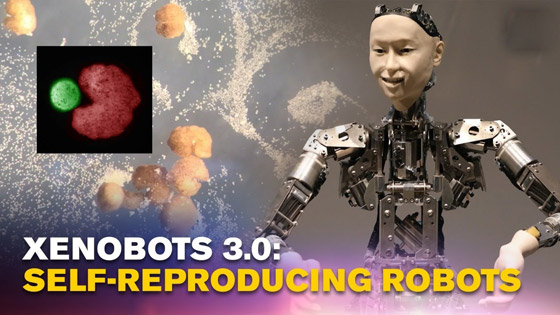  صورة رقم 8 - اكتشاف أول روبوت يمكنه التكاثر! يستخدمونه لأداء مهام داخل جسم الإنسان