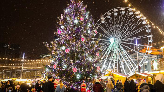من بودابست إلى برلين.. مدن أوروبية تتزين بأشجار وأضواء عيد الميلاد صورة رقم 6