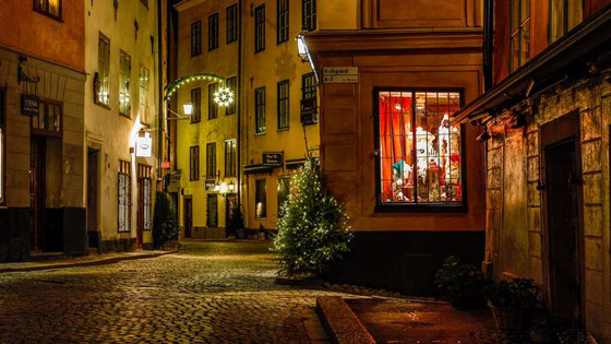 من بودابست إلى برلين.. مدن أوروبية تتزين بأشجار وأضواء عيد الميلاد صورة رقم 8